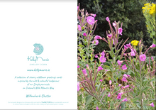 Load image into Gallery viewer, Cards Pack of 5 @ €18.50