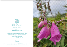 Load image into Gallery viewer, Cards Pack of 5 @ €18.50