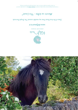 Load image into Gallery viewer, Cards Pack of 5 @ €18.50