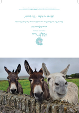 Load image into Gallery viewer, Greetings card of three cheeky donkeys from my rambles around the Dingle peninsula. Curious donkeys peeking over the wall for a closer look. These cards are blank inside for your own personal message