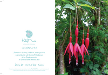 Load image into Gallery viewer, Cards Pack of 5 @ €18.50