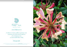 Load image into Gallery viewer, Cards Pack of 5 @ €18.50