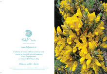 Load image into Gallery viewer, Cards Pack of 5 @ €18.50