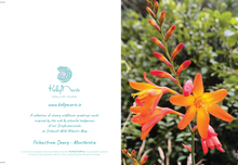 Load image into Gallery viewer, Cards Pack of 5 @ €18.50