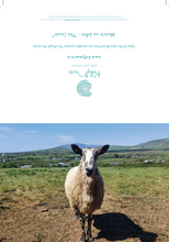 Load image into Gallery viewer, Cards Pack of 5 @ €18.50