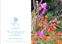 Load image into Gallery viewer, Cards Pack of 5 @ €18.50