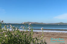 Load image into Gallery viewer, Silver Shell Pendant