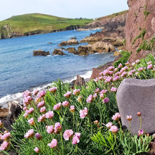 Load image into Gallery viewer, Sea and Sea Pinks at Bin Ban Beach on the Dingle Peninsula, West of Ireland
